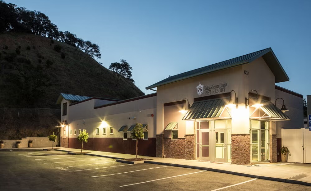 Pet Boarding and Grooming in San Rafael