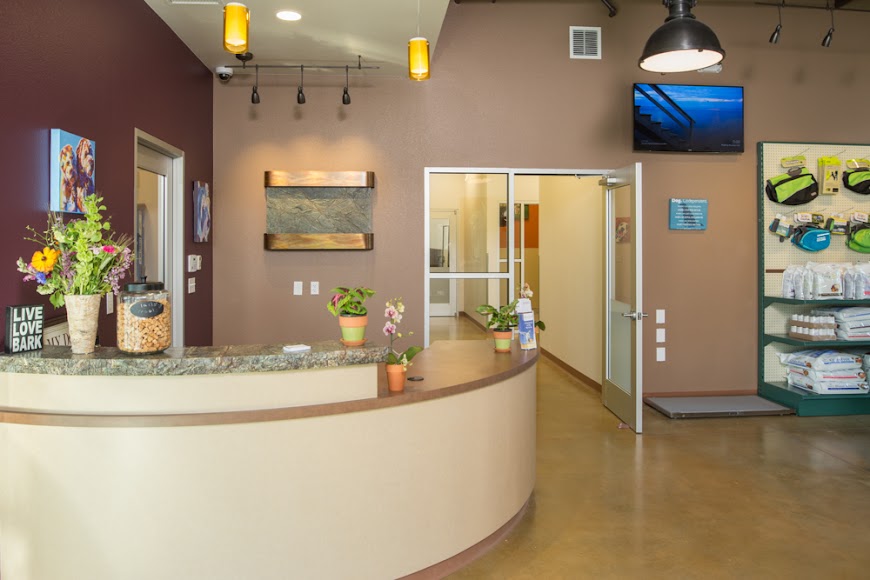 Pet Resort Near Me Welcome