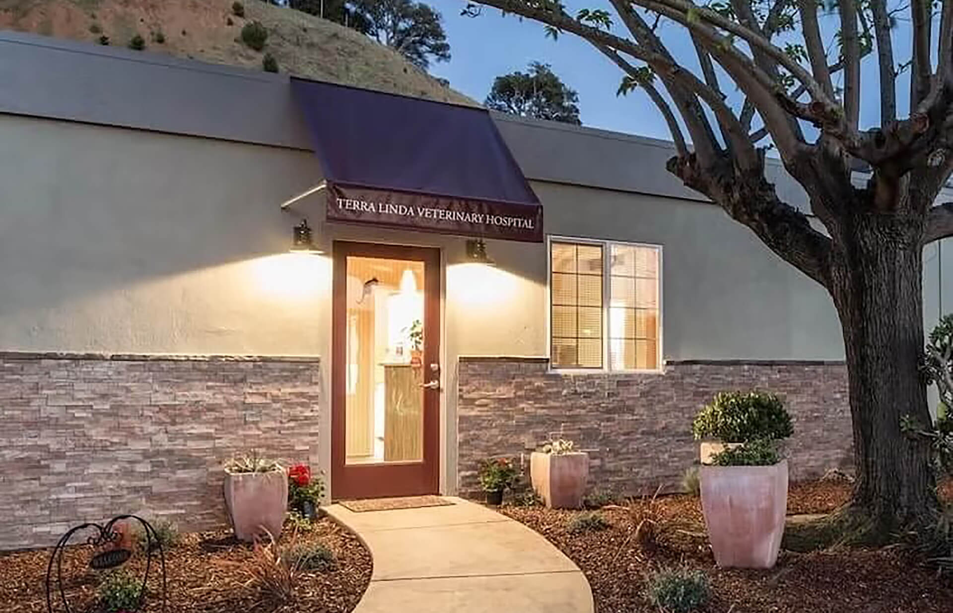 Veterinarians Near Me