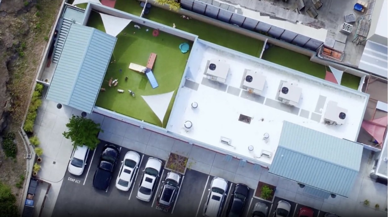 Tails of Terra Linda Pet Resort