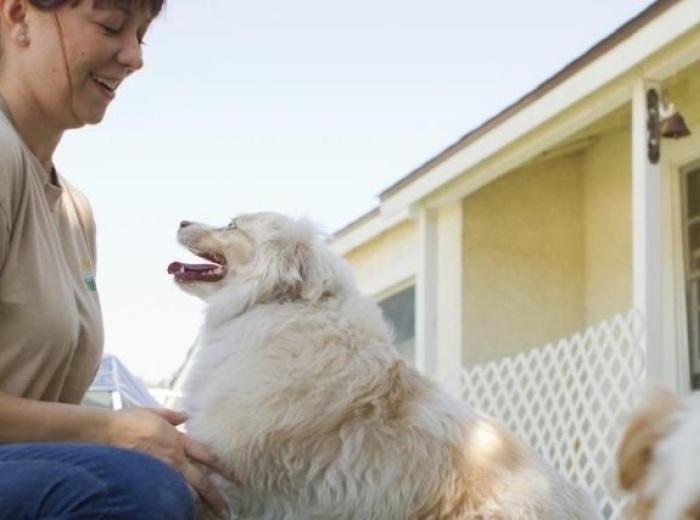 Dog Boarding FAQs and the Answers You Need to Enjoy Your Vacay