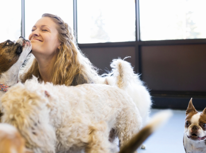 How To Tell If Your Dog Is Enjoying Their Time at Doggy Daycare